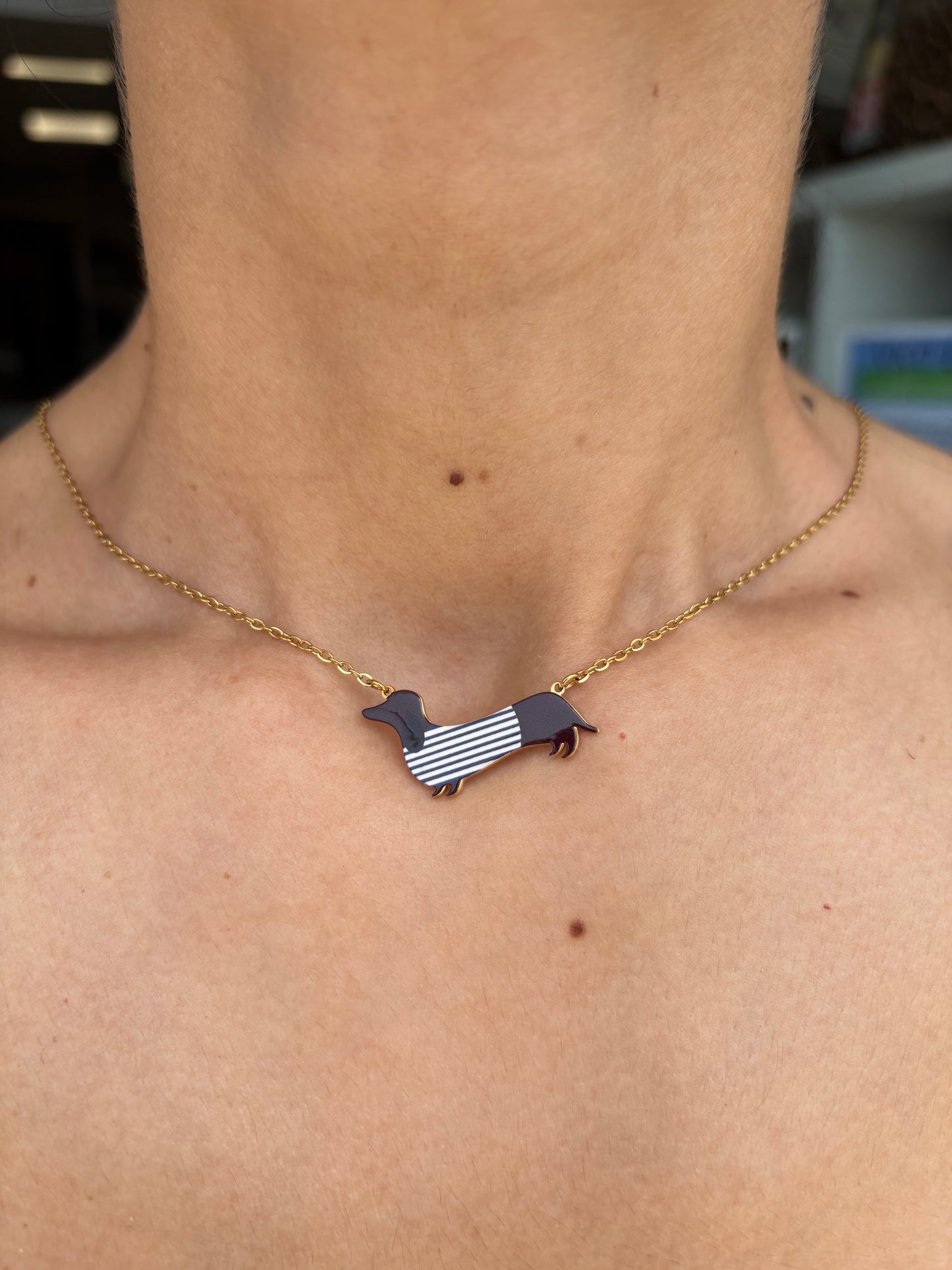 Collana bassotti